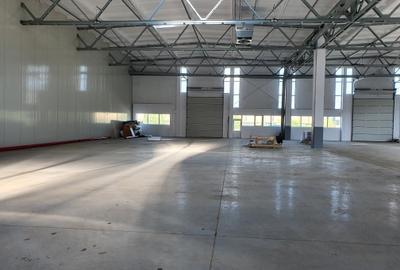 Hlala 4800 mp, 4,50 e/mp Hlala 4800 mp, 4,50 e/mp - 3