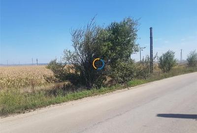 Teren Construcții extravilan de 5800 mp, în Oarja