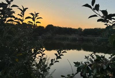 Teren de 1800 mp, în Piteasca