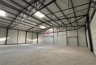 Depozit/hala/spatiu industrial Theodor Pallady - Gara Catel - 1