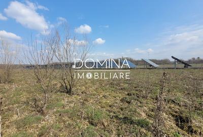 Teren Construcții intravilan de 978 mp, în Drăguțești - 1
