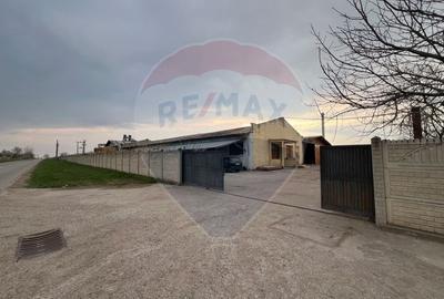 Spațiu industrial, de 7,756 mp, în Cerăt - 23
