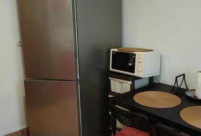 Inchiriez garsoniera Obor,Mosilor,Stefan cel mare - 3