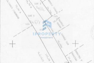 Teren de 3335 mp, în Sinești - 1