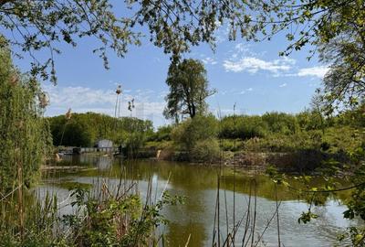 Teren 15840 mp Deaschidere 55 ml Silistea Snagovului De V... Teren 15840 mp Deaschidere 55 ml Silistea Snagovului De V... - 2