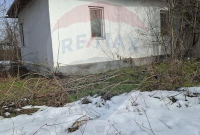 Casă cu 2 camere cu Teren 2596 Mp în Dridu - 2