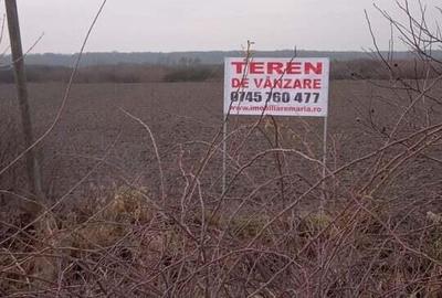 Teren intravilan 1 hectar la sosea nationala Dorolt ( ID 22872) - 1