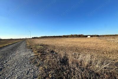 Teren de 775 mp, în Moșnița Veche - 3