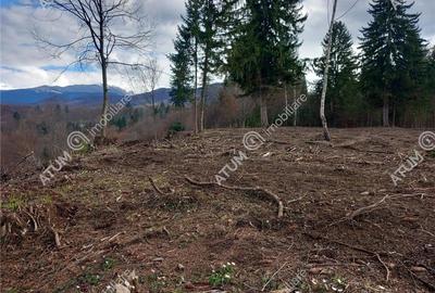 Teren intravilan 2000 mp de vanzare pe Valea Avrigului loc Avrig - 5