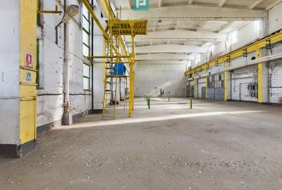 Spatiu industrial hala depozit 740 mp Drumul Taberei, Sector 6 Spatiu industrial hala depozit 740 mp Drumul Taberei, Sector 6 - 4