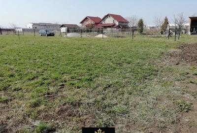 Teren de 4000 mp, în Valu lui Traian