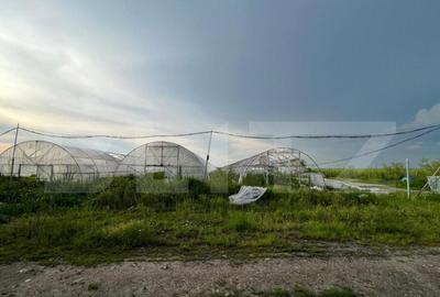 Teren par?ial intravilan 23.500 mp, apa, curent ?i suprav - 3