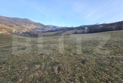 Teren intravilan de 16667 mp, Sosea de Centura, Abrud - 2