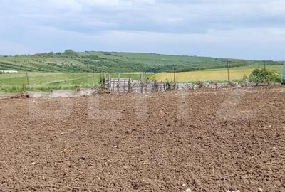 Teren de 1107 mp, în Șimnicu de Sus - 2