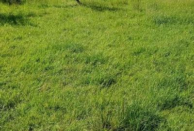 REDUCERE DE PRET! Teren in zona Sub Dura ,40 ari pentru constructii industriale REDUCERE DE PRET! Teren in zona Sub Dura ,40 ari pentru constructii industriale - 2