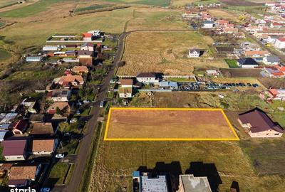 Spațiu comercial, în Sânandrei - 10