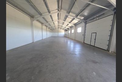 De Inchiriat- Hala industriala moderna cu birouri si showroom - 3