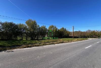 Teren intravilan/Str Balciului/Copacelu - 1