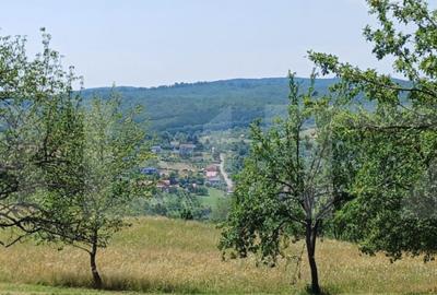 Teren extravilan de 1000 mp, situat pe strada Ghinzii - 3