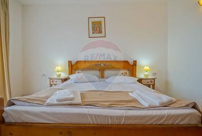 Hotel/Pensiune, de 2,950 mp, în Pănicel - 17