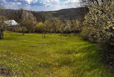 Teren de 2350 mp, în Surani - 4