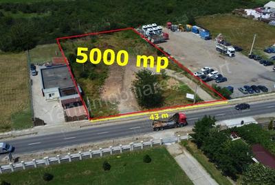 Teren de vanzare in Curtea de Arge?. - 8