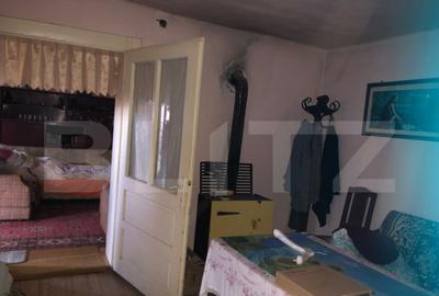 Casa batraneasca, 1500 mp teren, comuna Pomi - 12