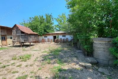 Casă cu 3 camere în Colibași - 1