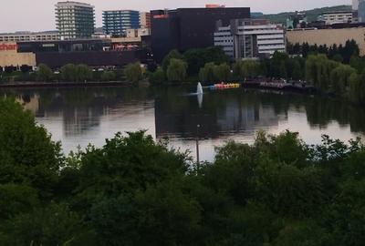 Apartament cu 3 camere în Dosu Bricii - 8