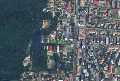 Teren extravilan de 274384 mp, în Nord - 2