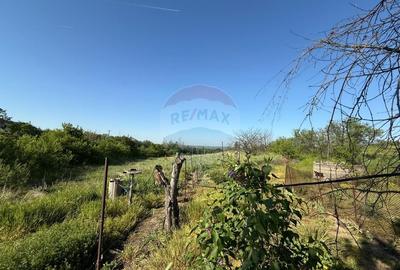 Casa de vanzare Almaj , sat Bogea  4505 mp teren- Negociabil - 14