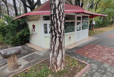 Inchiriez (vand)spatiu comercial ultracentral - 3