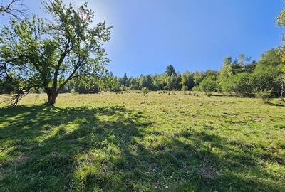 Teren intravilan, 21.000 mp, Zona Intre Barse, spre Plaiul Foii, Zarnesti - 3