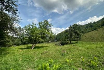 Teren 2 hectare pe Valea Ariesului, zona Scarita-Belioara, pret oportun 2 Eur/mp - 15