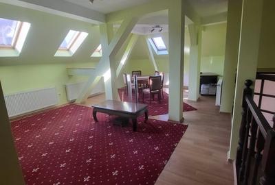 Vila boiereasca, superba, strada, linistita, nelipita de vreun alt imobil Vila boiereasca, superba, strada, linistita, nelipita de vreun alt imobil - 27