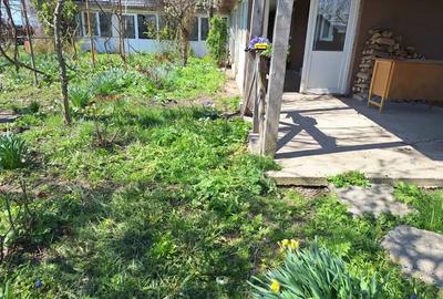 A 24 case 10000 mp teren Seciuieni Bacau - 9