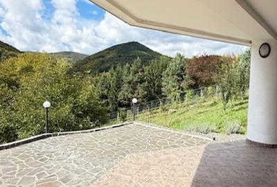 FIRIZA - VILA+ casa batraneasca si 29ari teren, panorama superba! - 29