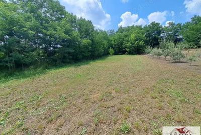 Vanzare teren intravilan in Berghin Vanzare teren intravilan in Berghin - 2