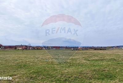 Spațiu comercial, în Șura Mică - 5