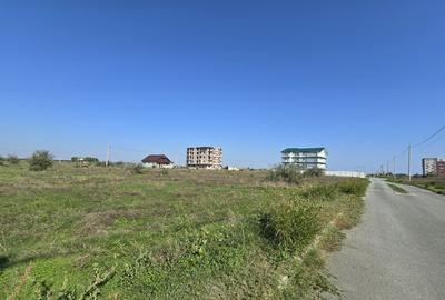 Vanzari terenuri in Costinesti zona Epava - 4