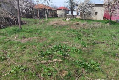 Casă cu 2 camere în Brânceni - 4
