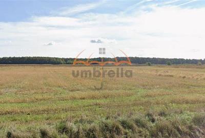 Teren agricol extravilan de 6700 mp, în Hideaga - 2
