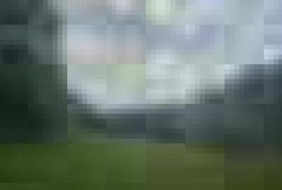 TEREN DE VANZARE APROAPE DE PADURE - 6