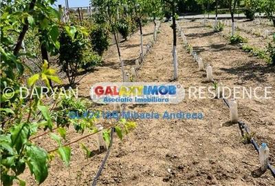 Teren in Poienari Apostoli, 21 E/mp, Avantajos, DN1, 34.500 euro - 12