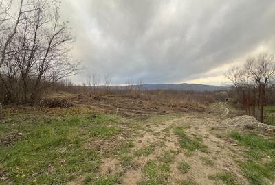 Teren Construcții intravilan de 748 mp, în Bârnova - 14