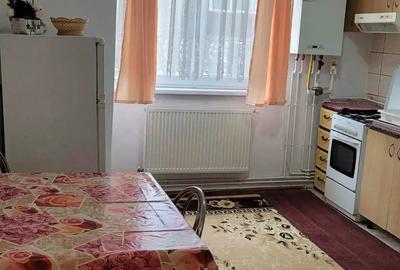 Apartament 1 camera, 40mp,zona Han - 1