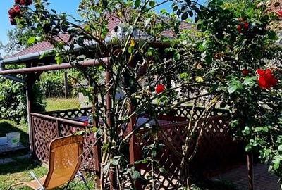 Casă cu 3 camere în Central - 1