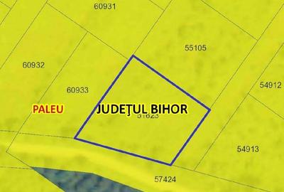 Teren de 1000 mp, în Săldăbagiu de Munte - 6