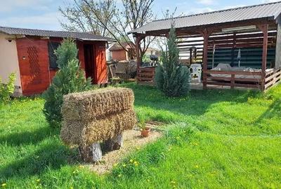 Casă cu Teren 630 Mp în Adunații-Copăceni - 1