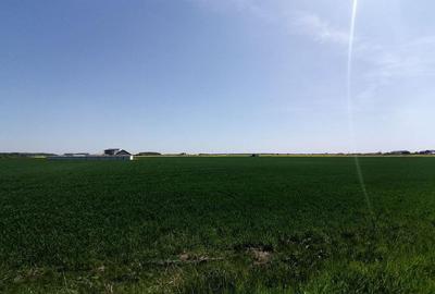 Teren intravilan 9313 mp in comuna 1 Decembrie - Ilfov - 4